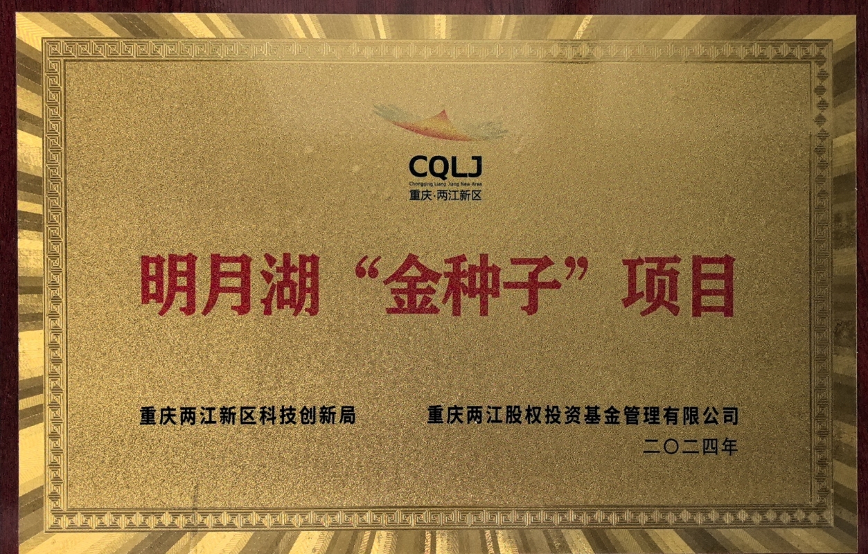 金种子项目